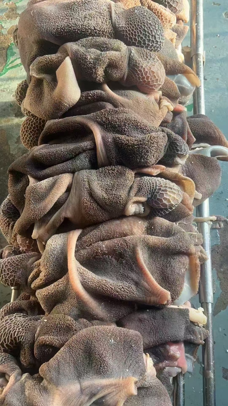 黑羊肚