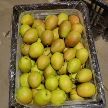 河北红香酥梨低价大量供应，颜色靓丽果型好，口感脆甜多汁