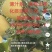 山西特产贡梨，新鲜多汁甜脆，天然***，健康美味直达家门