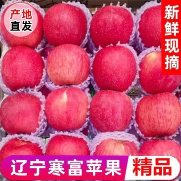东北寒富苹果，产地一手货源，全国供应，可对接电商商超等