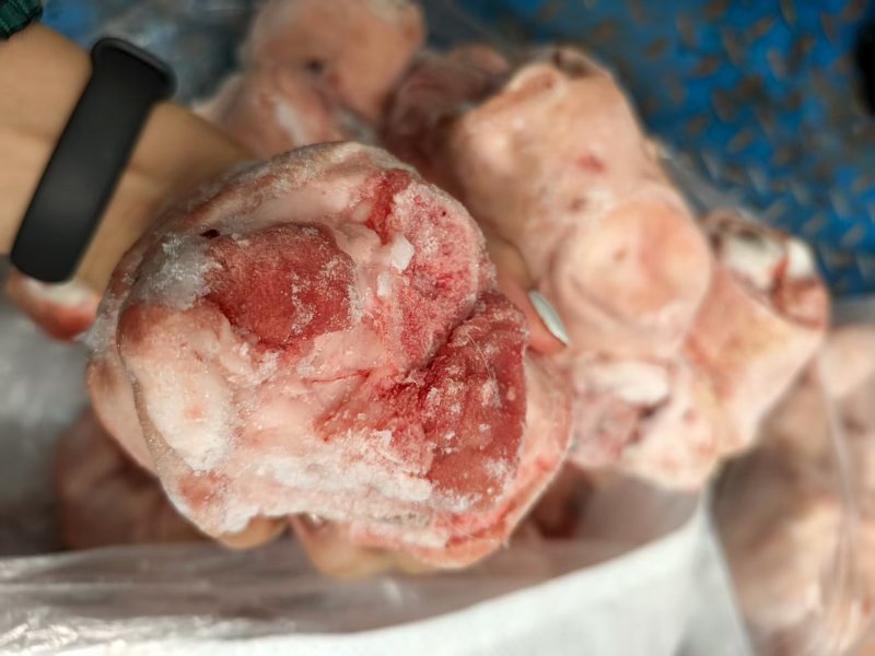 肘圈肘子猪拐骨新鲜批发带皮冷冻拐骨土猪猪蹄蹄膀猪小肘猪脚