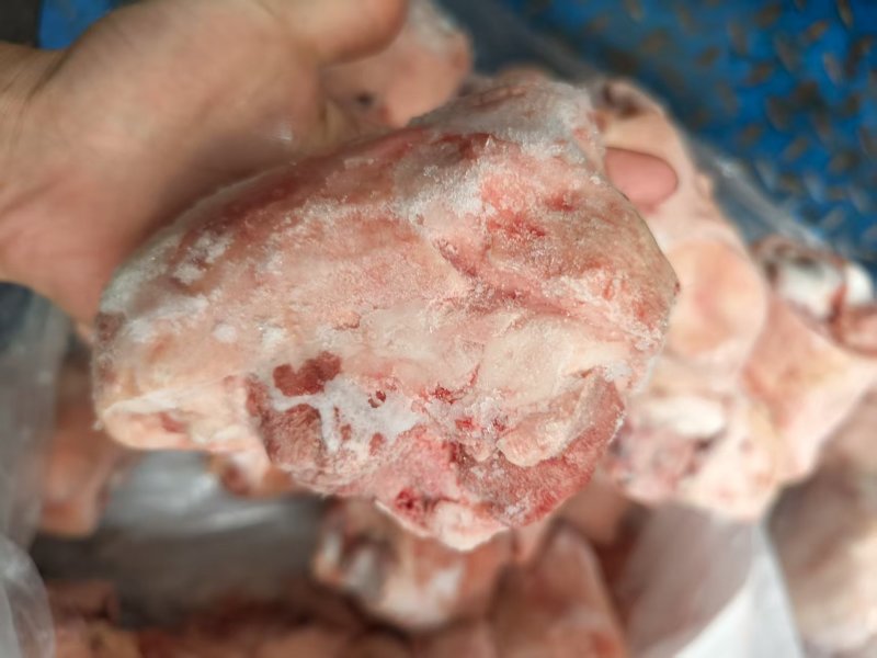肘圈肘子猪拐骨新鲜批发带皮冷冻拐骨土猪猪蹄蹄膀猪小肘猪脚
