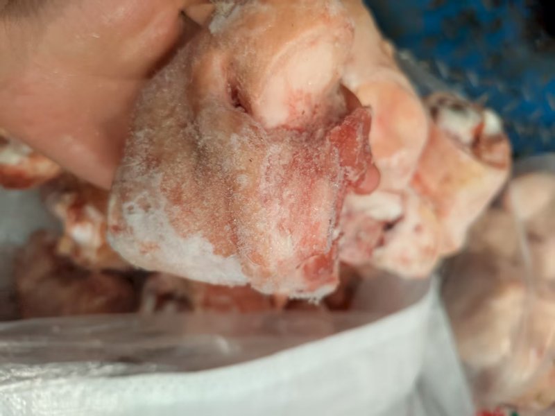 肘圈肘子猪拐骨新鲜批发带皮冷冻拐骨土猪猪蹄蹄膀猪小肘猪脚