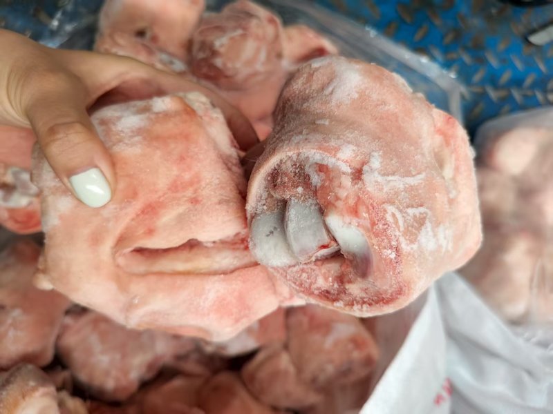 肘圈肘子猪拐骨新鲜批发带皮冷冻拐骨土猪猪蹄蹄膀猪小肘猪脚