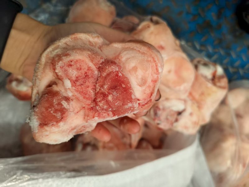 肘圈肘子猪拐骨新鲜批发带皮冷冻拐骨土猪猪蹄蹄膀猪小肘猪脚
