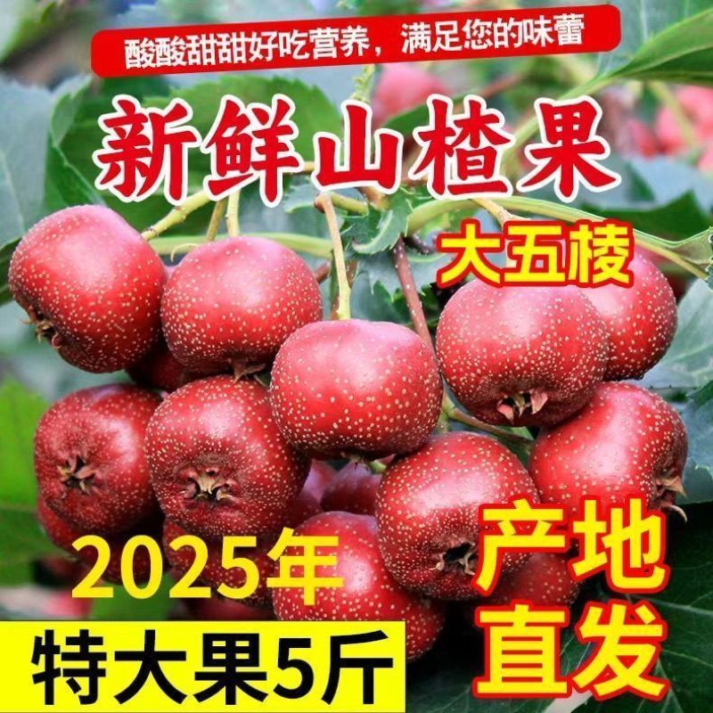 山楂新鲜电商供货一件代发抖店多多24小时揽收发货