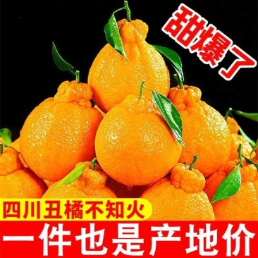 丑橘丑八怪不知火丑橘一件代发电商供货24小时揽