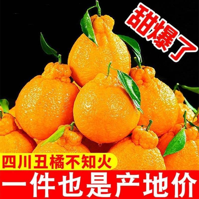 丑橘丑八怪不知火丑橘一件代发电商供货24小时揽