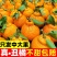 丑橘丑八怪不知火丑橘一件代发电商供货24小时揽