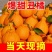 丑橘丑八怪不知火丑橘一件代发电商供货24小时揽