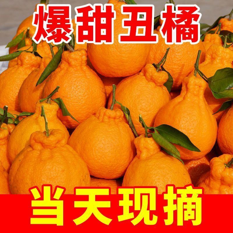 丑橘丑八怪不知火丑橘一件代发电商供货24小时揽
