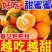 丑橘丑八怪不知火丑橘一件代发电商供货24小时揽