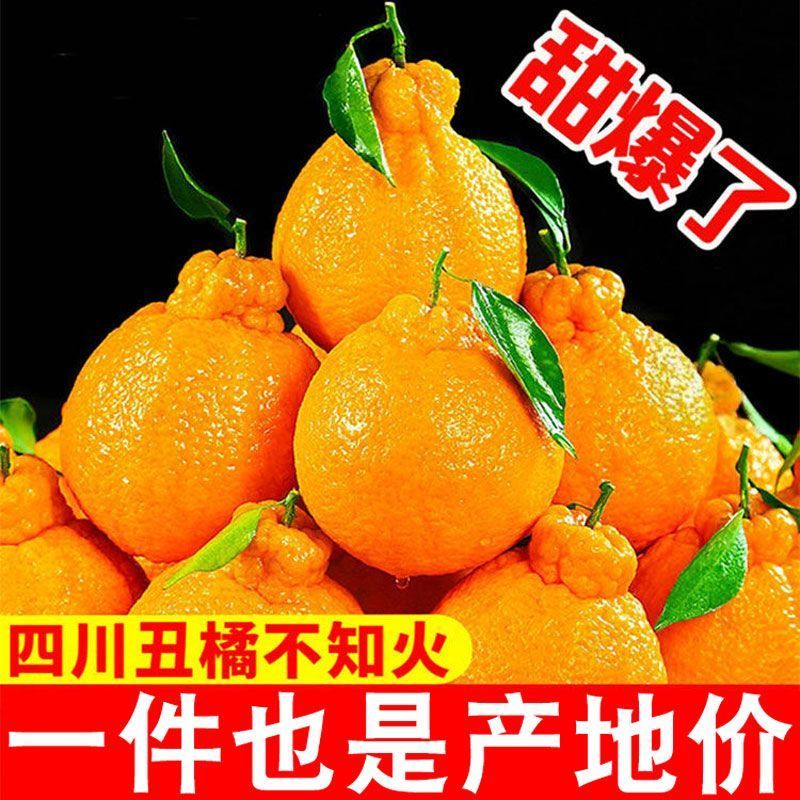 丑橘丑八怪不知火丑橘一件代发电商供货24小时揽