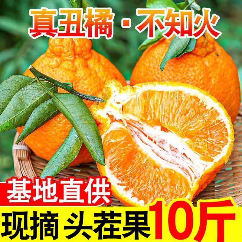 丑橘丑八怪不知火丑橘一件代发电商供货24小时揽