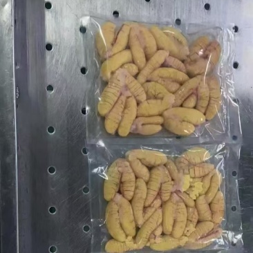精品鲈鱼籽，刚上市鲈鱼籽欢迎各位朋友采购