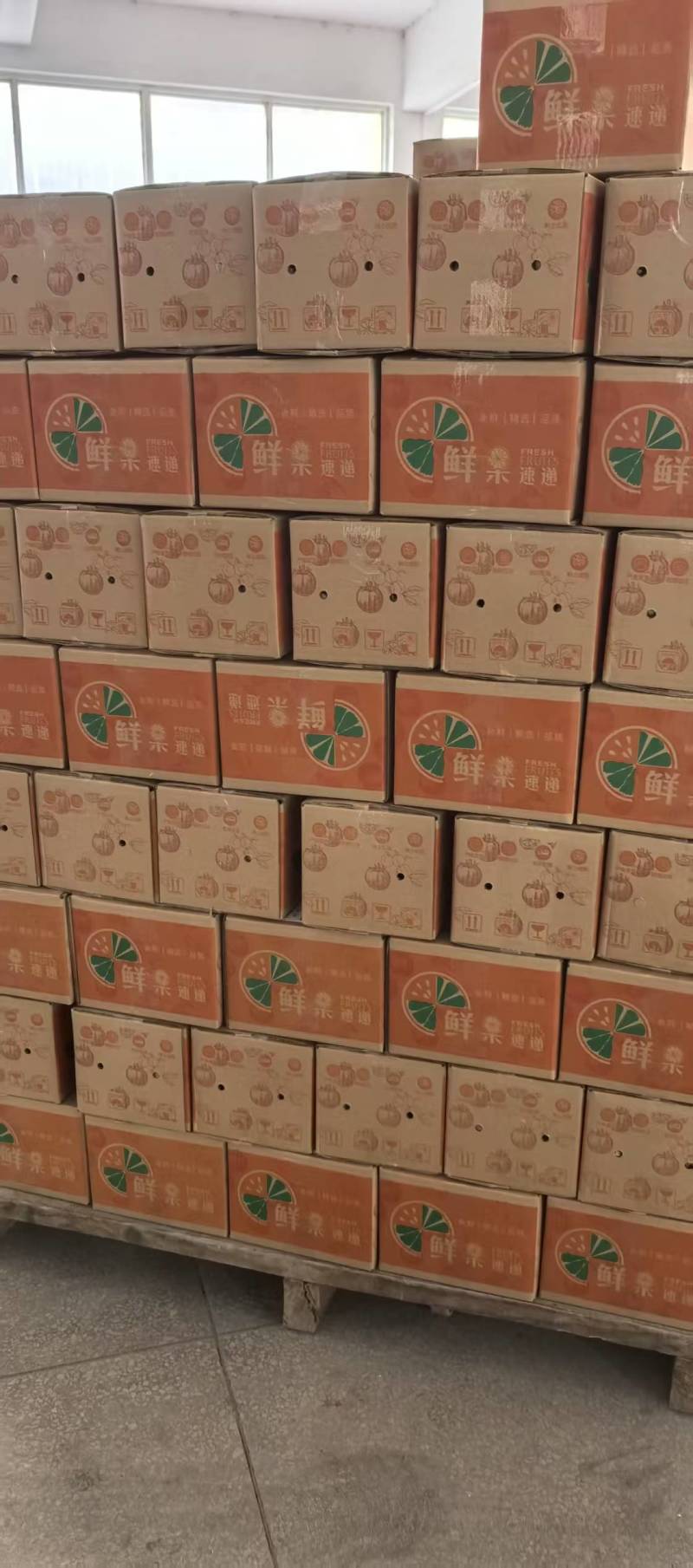 《沙糖桔》广西沙糖桔/电商货源/一件代发/全国批发供应