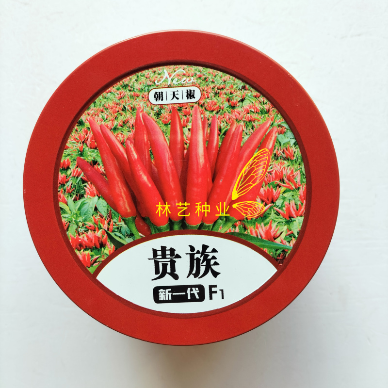 贵族新一代朝天椒种子高辣特辣簇生型高产小米辣椒朝天椒