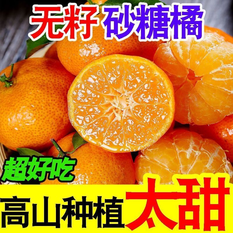 『实力』正宗金秋砂糖橘基地直发对接全国保质保量一条龙