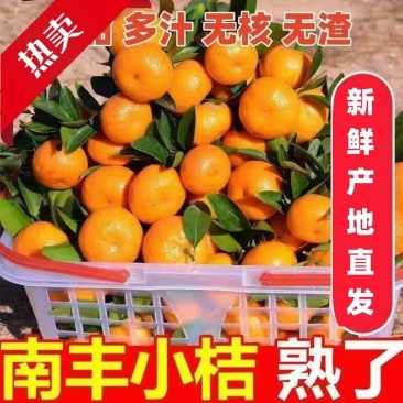 『实力』正宗南丰蜜橘基地直发对接商超团购电商一条龙