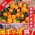 『实力』正宗南丰蜜橘基地直发对接商超团购电商一条龙