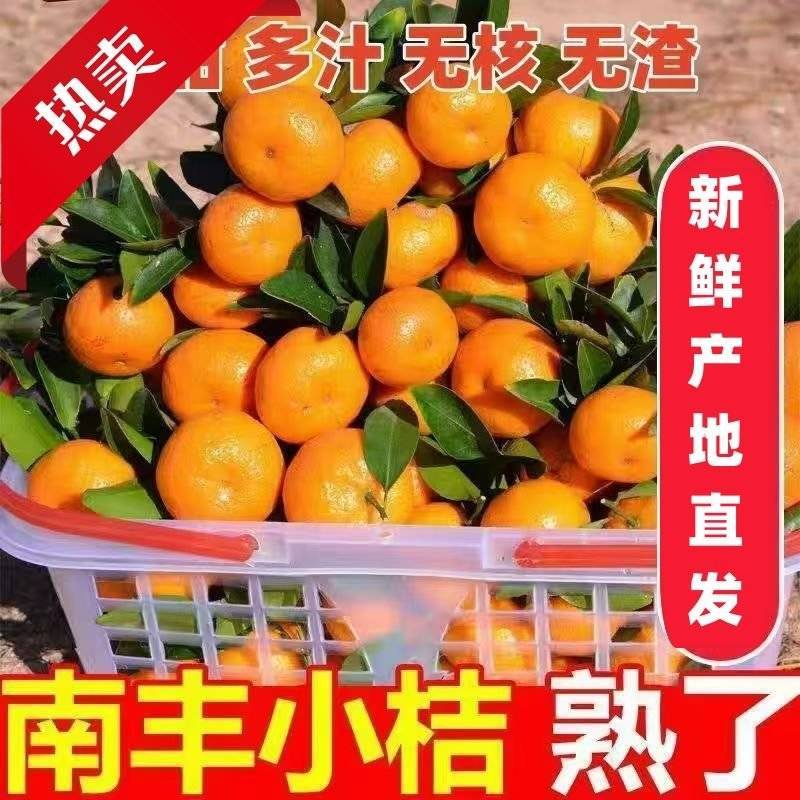 『实力』正宗南丰蜜橘基地直发对接商超团购电商一条龙