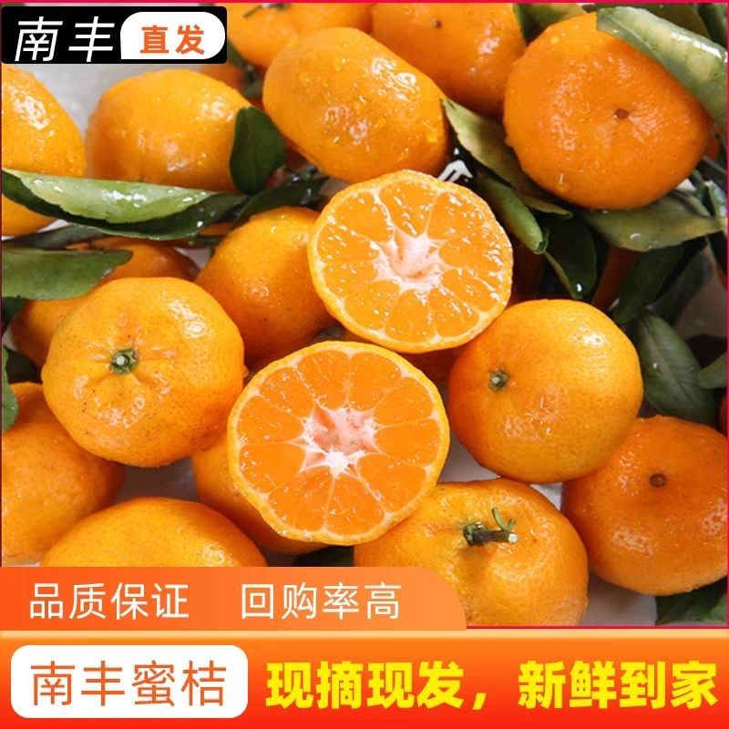 『实力』正宗南丰蜜橘基地直发对接商超团购电商一条龙