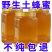 【木桶原装】正宗野生蜂蜜农家土蜂蜜天然100***百花蜜