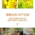 【木桶原装】正宗野生蜂蜜农家土蜂蜜天然100***百花蜜
