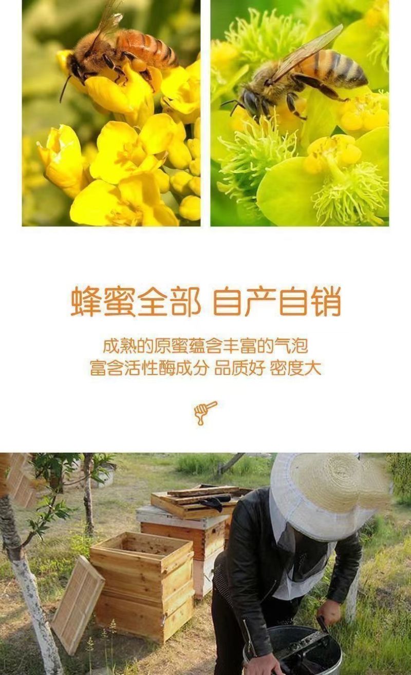 【木桶原装】正宗野生蜂蜜农家土蜂蜜天然100***百花蜜