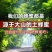 【木桶原装】正宗野生蜂蜜农家土蜂蜜天然100***百花蜜