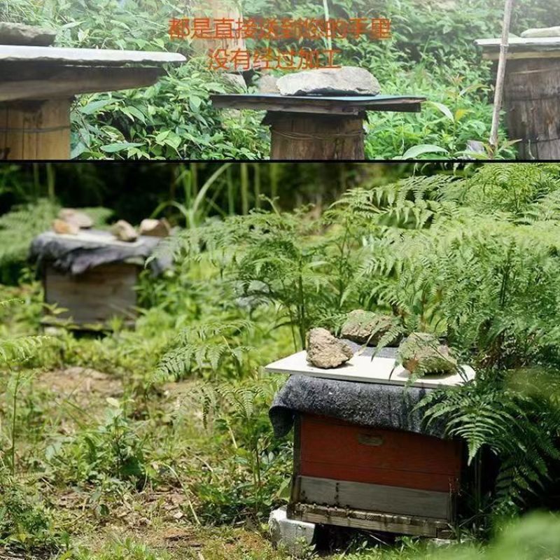 【木桶原装】正宗野生蜂蜜农家土蜂蜜天然100***百花蜜