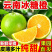 《畅销》正宗冰糖橙对接商超团购电商一条龙服务