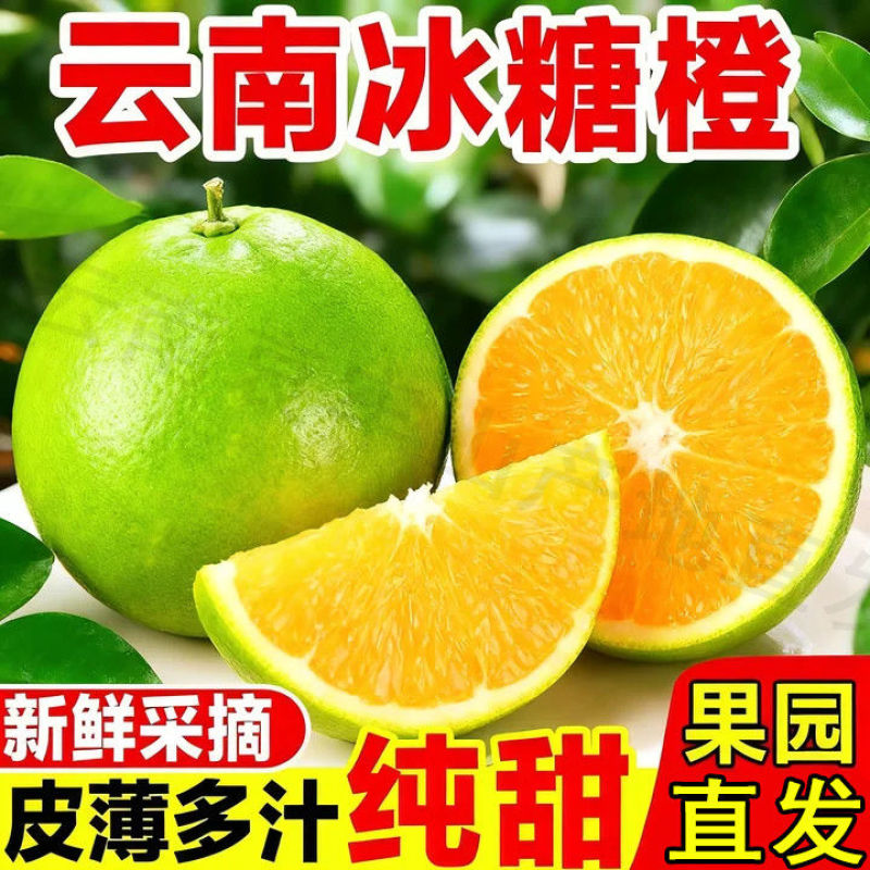 《畅销》正宗冰糖橙对接商超团购电商一条龙服务
