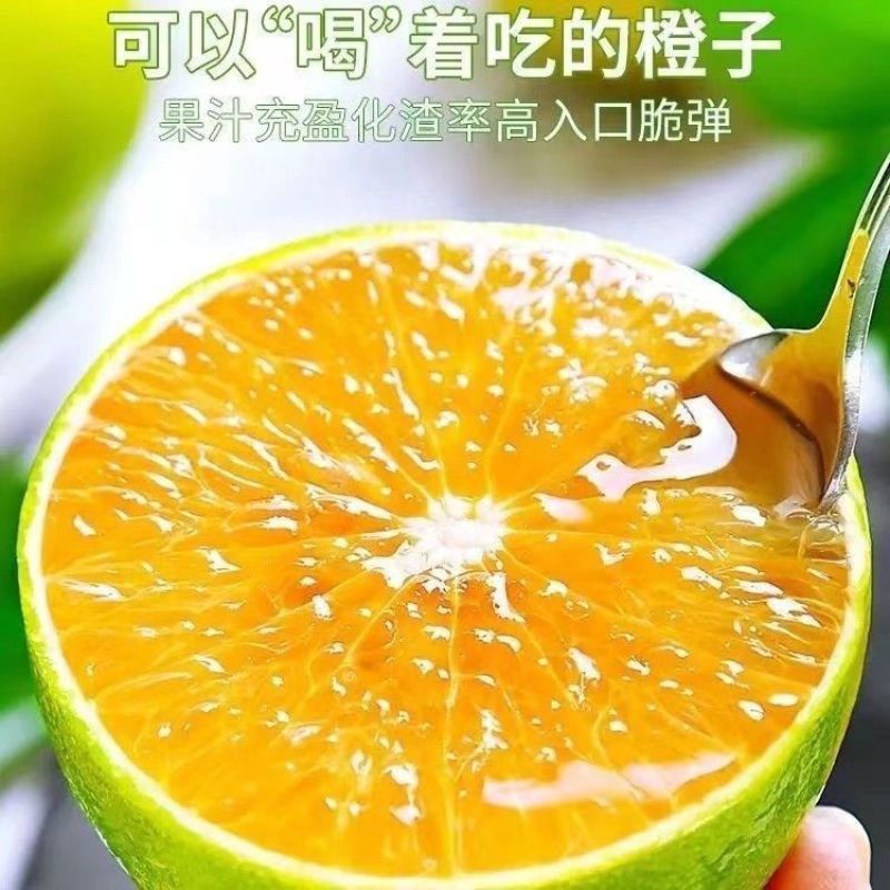 《畅销》正宗冰糖橙对接商超团购电商一条龙服务