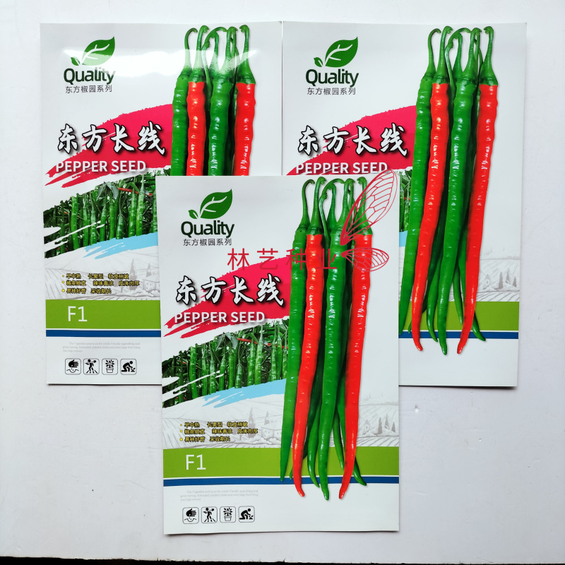 东方长线早熟长果型线椒种子软皮稍皱薄皮肉厚顺直辣味香浓辣