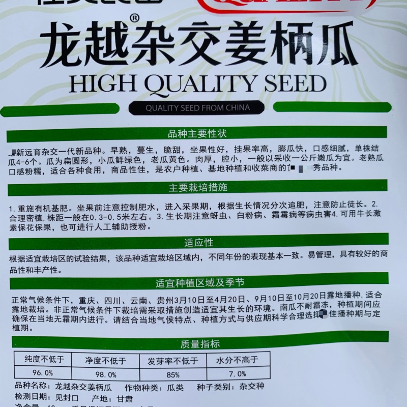 龙越杂交姜柄瓜种子云南特产嫩南瓜种子柿饼状蝶南瓜种子