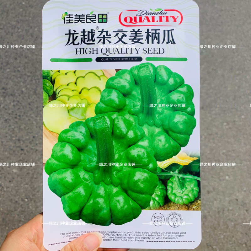 龙越杂交姜柄瓜种子云南特产嫩南瓜种子柿饼状蝶南瓜种子