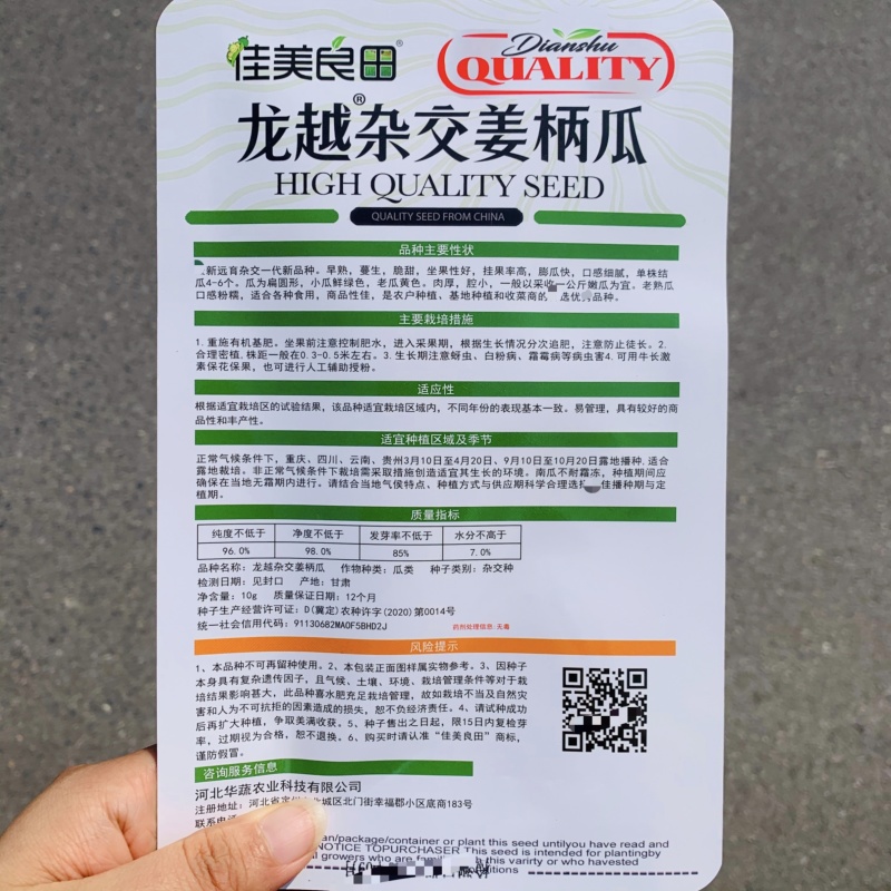 龙越杂交姜柄瓜种子云南特产嫩南瓜种子柿饼状蝶南瓜种子