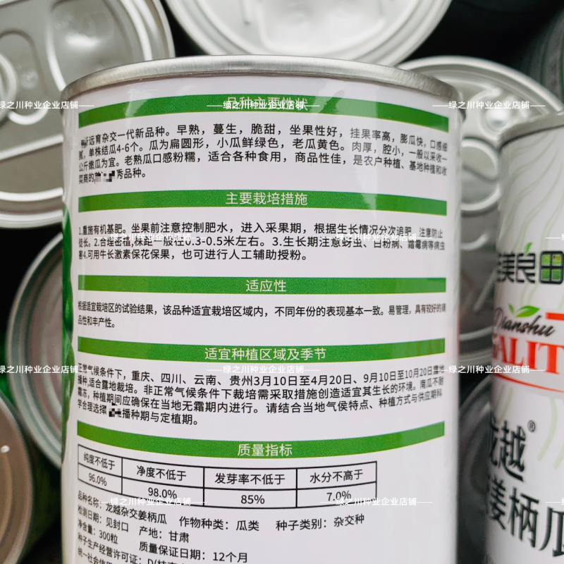 龙越杂交姜柄瓜种子云南特产嫩南瓜种子柿饼状蝶南瓜种子