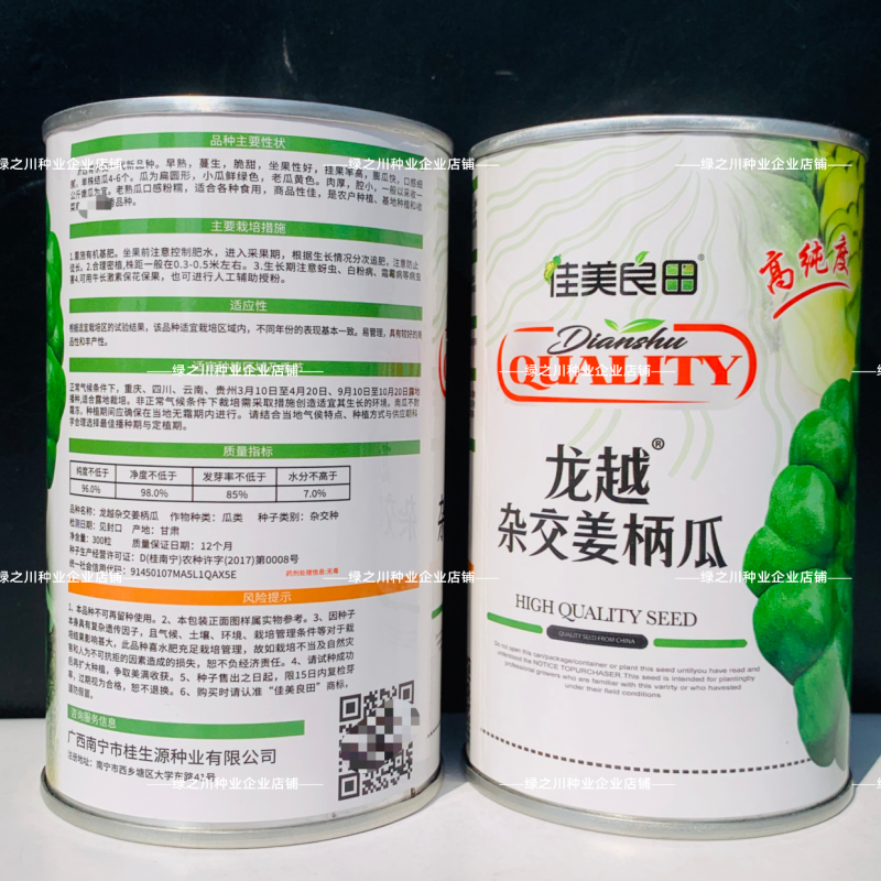 云南特产姜柄瓜种子早熟嫩南瓜柿饼状姜饼南瓜种籽特色品种