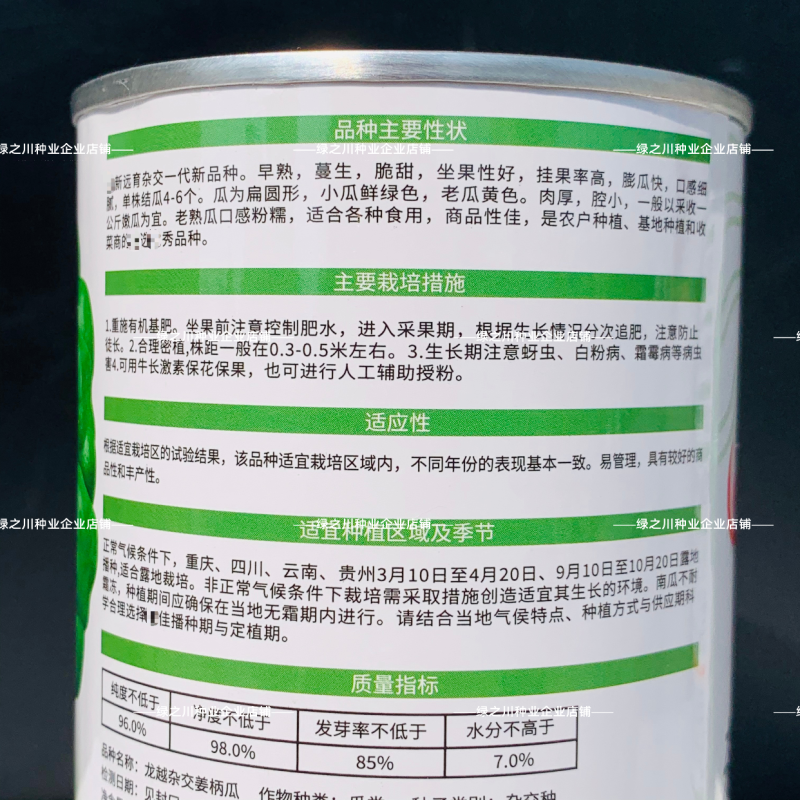 云南特产姜柄瓜种子早熟嫩南瓜柿饼状姜饼南瓜种籽特色品种