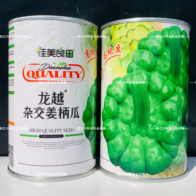 云南特产姜柄瓜种子早熟嫩南瓜柿饼状姜饼南瓜种籽特色品种
