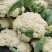 花菜，大量现货可发全国，保质保量，对接批发市场电商食堂