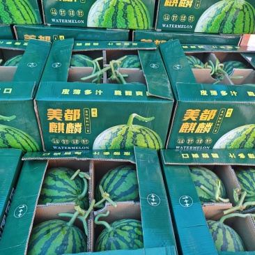 河南大棚西瓜，商丘夏邑无籽美都麒麟瓜欢迎来电