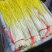 沂蒙山精品蒜黄大量上市