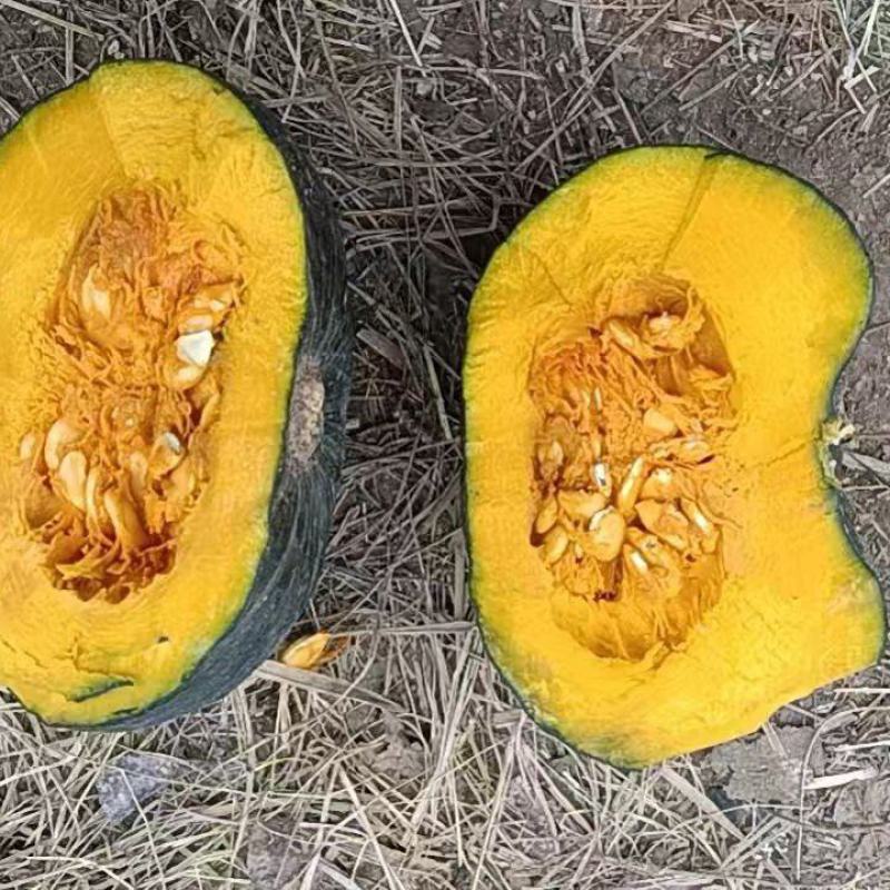 贝贝南瓜