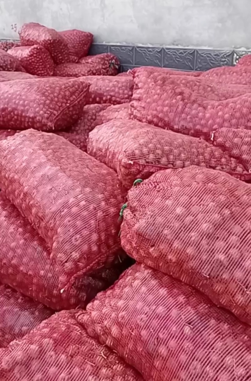 出售大量山楂打浆果