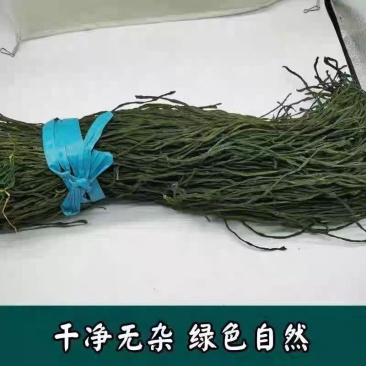 烘干鲜艳绿豆角