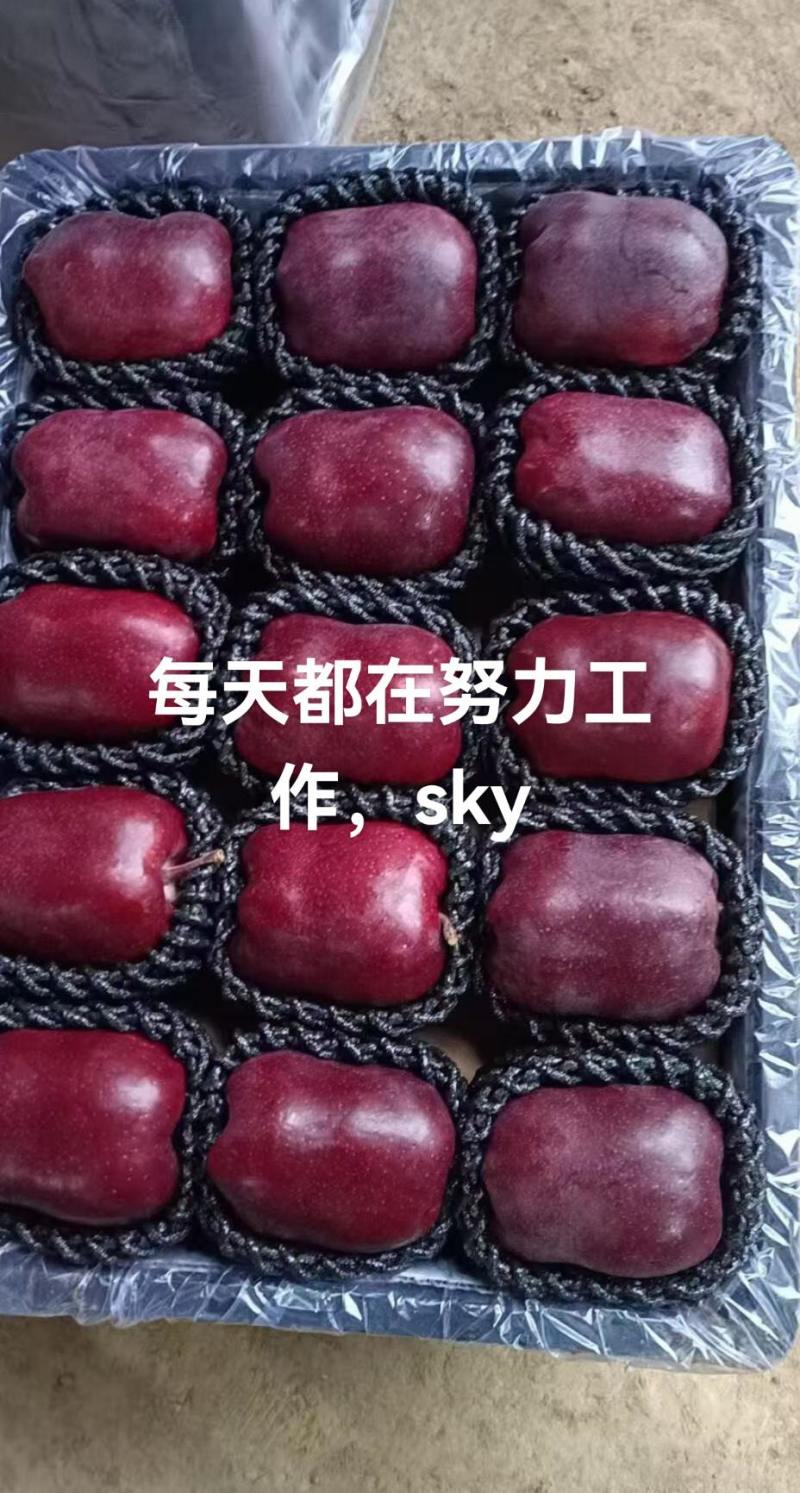 高山精品花牛苹果，大量有货，需要可以联系