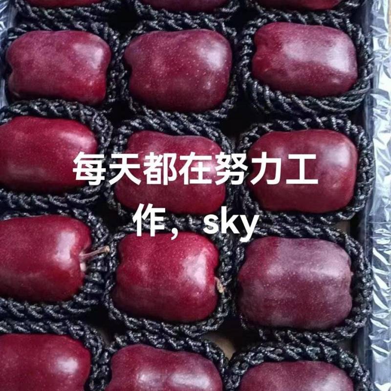 高山精品花牛苹果，大量有货，需要可以联系